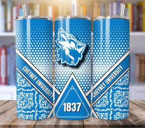 HBCU 20oz Tumblers